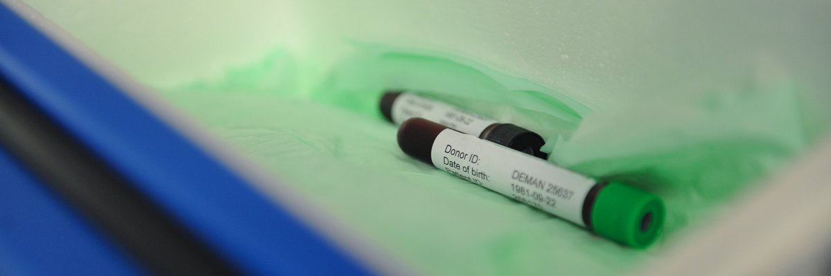 Blutröhrchen in einem Laborgefäß