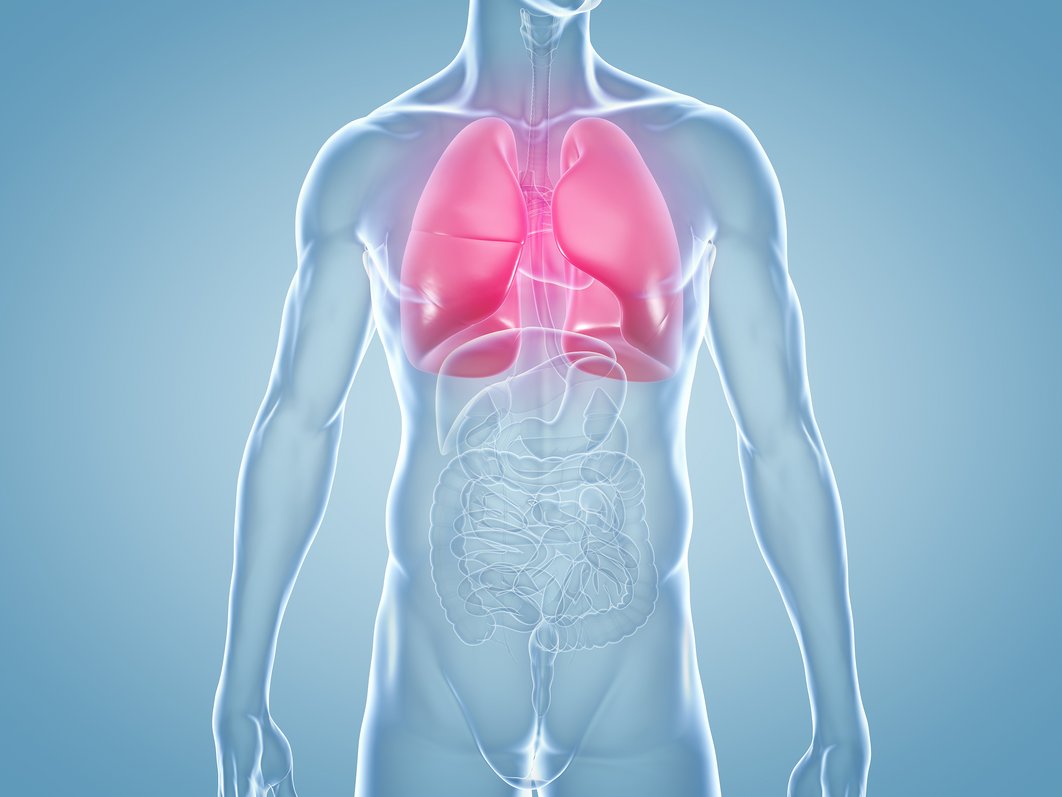 Grafik auf der die Lunge im Menschen leuchtend hervorgehoben ist.