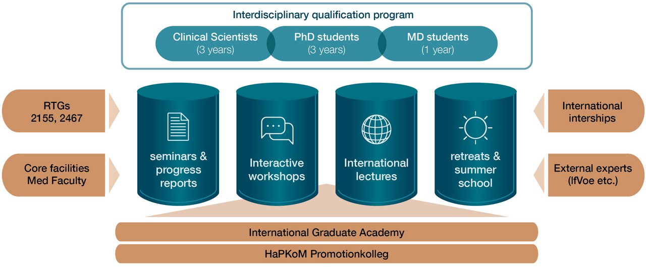 [Translate to English:] Qualifizierungsprogramm des RTGs mit vier Säulen dargestellt